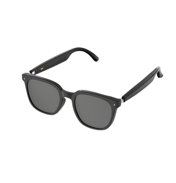 HY-1009 Black Frame, Gray Lenses